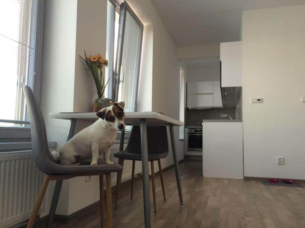Elf Apartamento Kolín Exterior foto